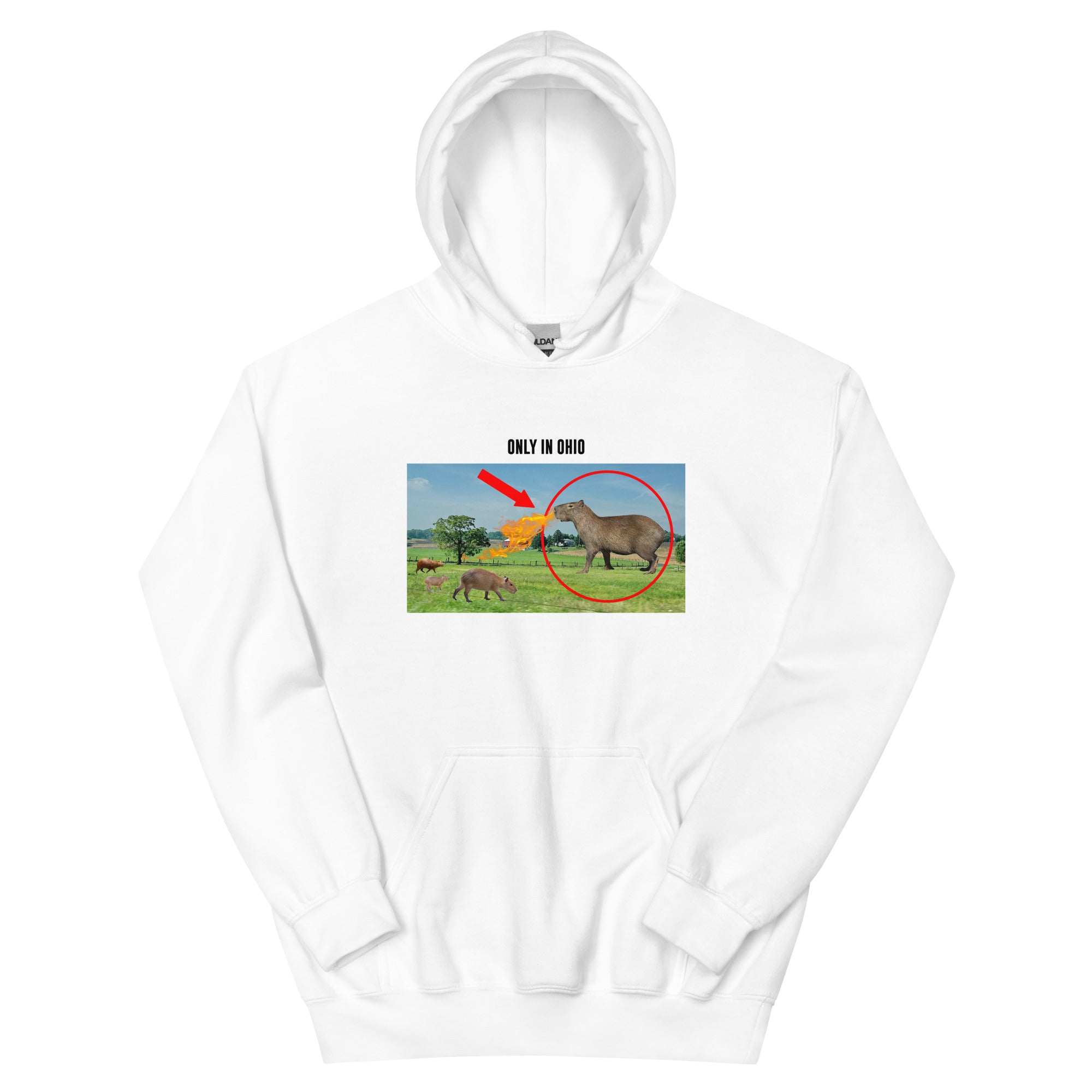 Women's Sleeping Buns Softer Hoodie 21861489 1196 4803 B76c 4234a824b9ea